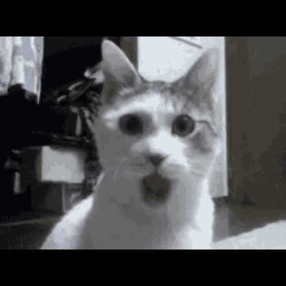 Meet your Posher, Jaye - Picture 1 of 1